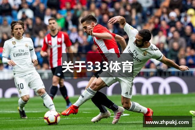关于333体育